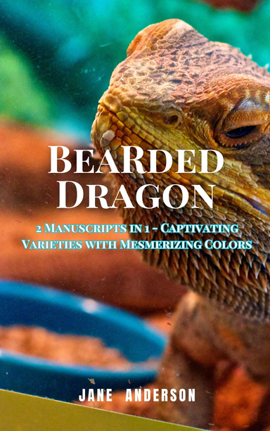 Bearded Dragon