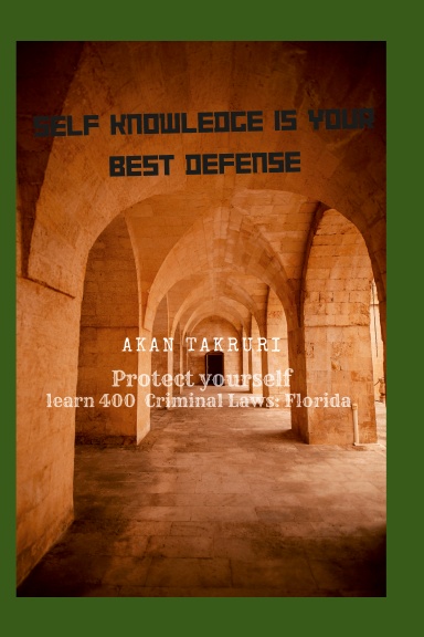 Protect yourself learn 400  Criminal Laws: Florida