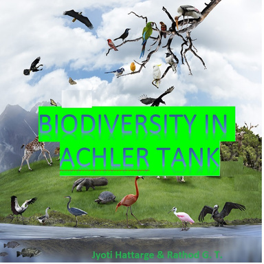 Biodiversity in Achler tank