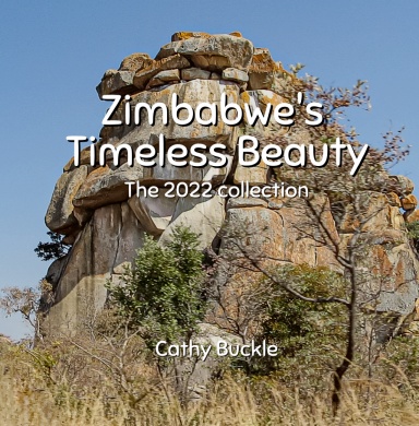 Zimbabwe's Timeless Beauty: The 2022 Collection (HARDBACK)