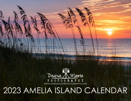 2023 Amelia Island Calendar