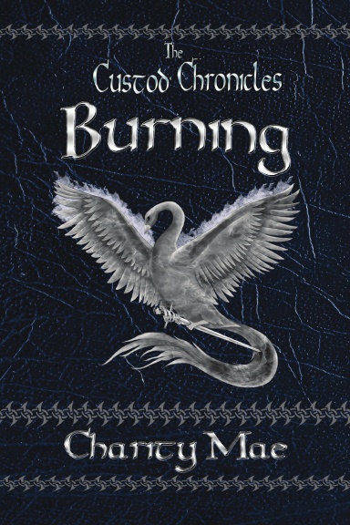 The Custod Chronicles Burning