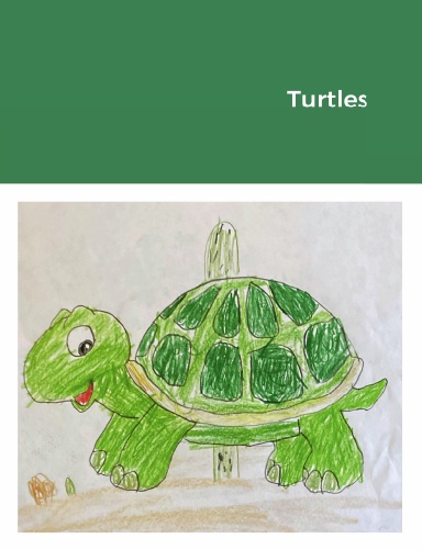 Turtles