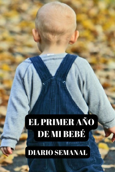 EL PRIMER AÑO DE MI BEBÉ