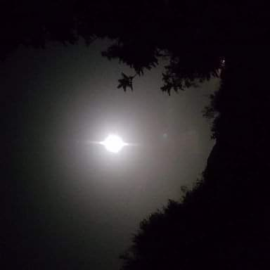 Dopo il sole tornerà il sole