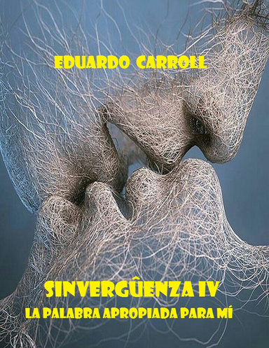 Sinvergûenza IV. La palabra apropiada para mí