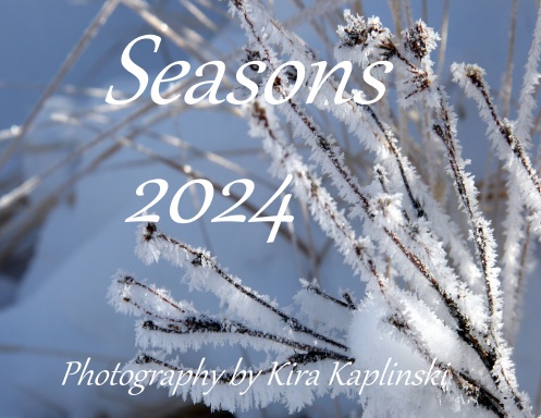 Seasons - Calendar 2022