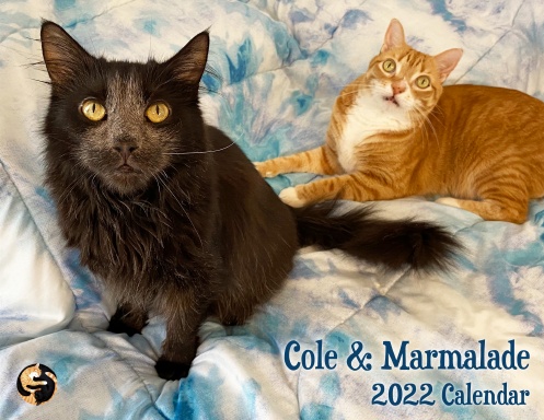 Cole & Marmalade - 2022 Calendar (No holidays)