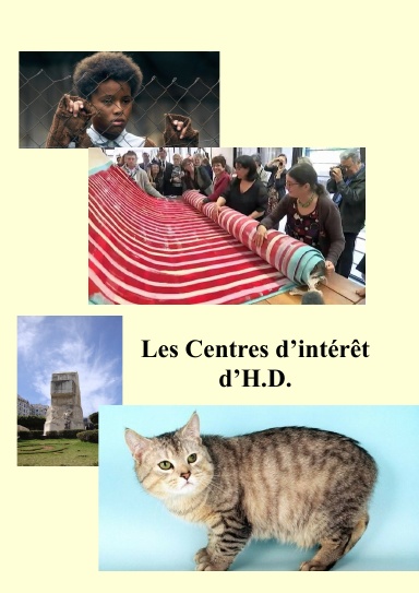 Les Centres d'intérêt de HD