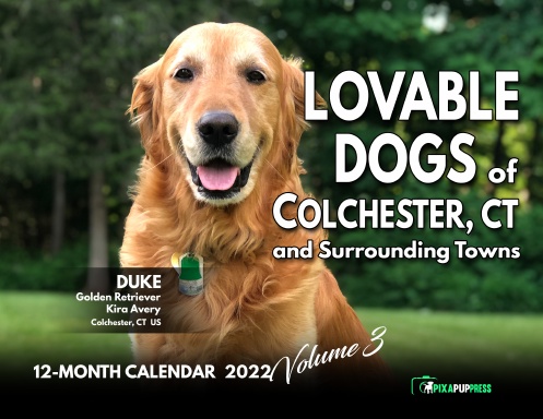 Lovable Dogs of Colchester CT 2022 Wall Calendar Vol. 3
