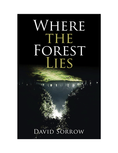 Where the Forest Lies