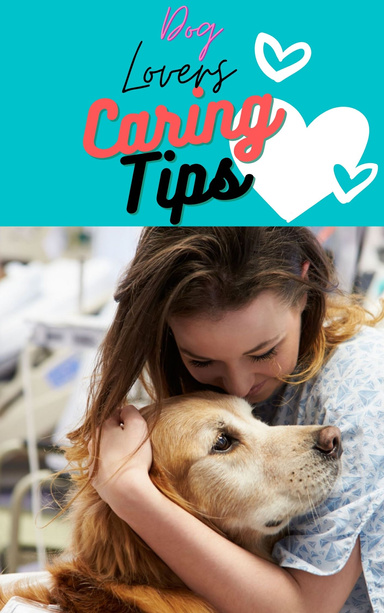Caring Tips For Your Dog