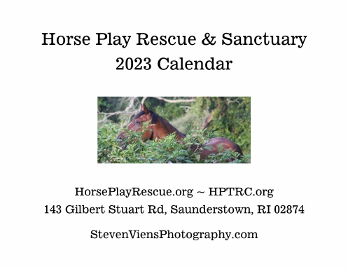 Horse Play Equine Rescue & Sanctuary 2023 Calendar