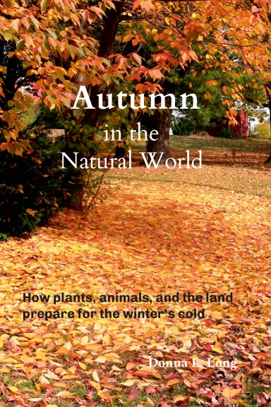 Autumn in the Natural World