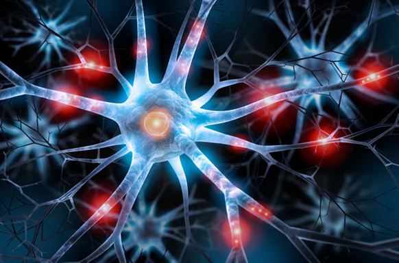 The present science behind getting in shape and getting healthy.  What should I eat?