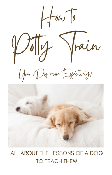 How To Potty Train Your Dog More Effectively!