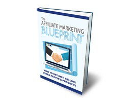The affiliate marketing blue print