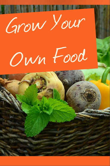 Grow Your Own Food