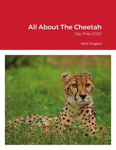All About The Cheetah