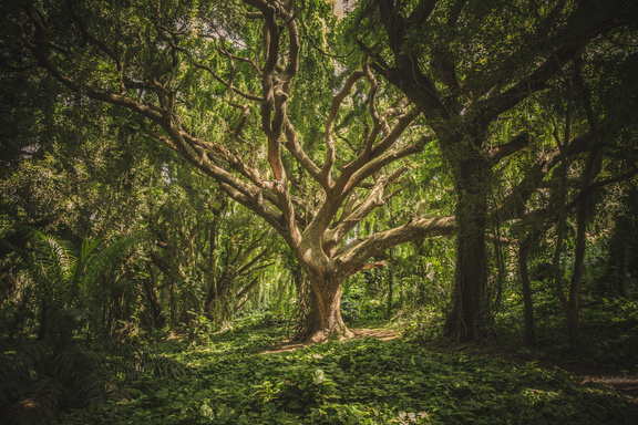 The Ancient Encyclopedia of Mystery