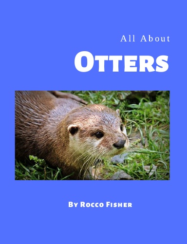 All About Otters