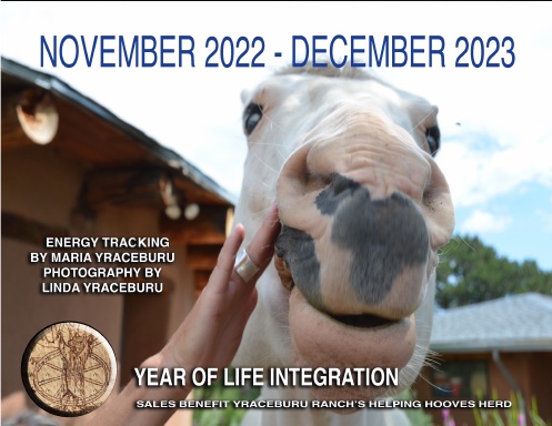 2023 Year of Life Integration