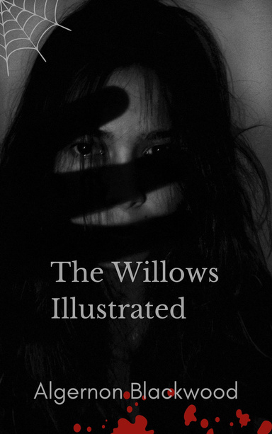 The Willows Illustrated