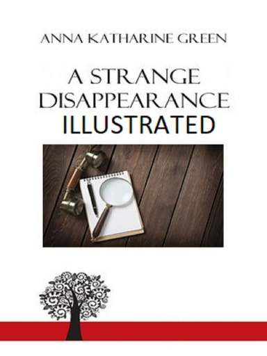 A Strange Disappearance Illustrated