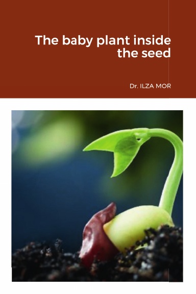The baby plant inside the seed