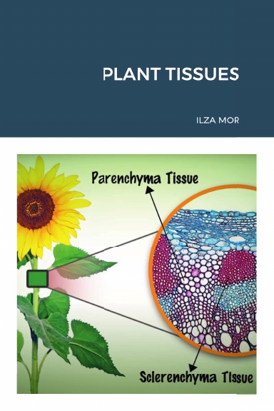 PLANT TISSUES