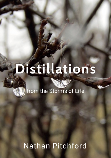 Distillations from the Storms of Life
