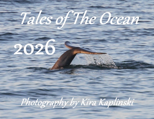 Tales of The Ocean Calendar 2026