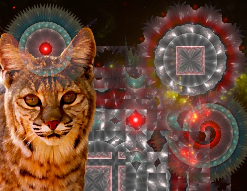 Fractal Imagination 2025 Calendar