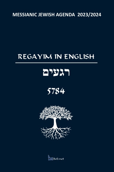 REGAYIM IN ENGLISH
