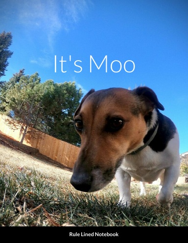 Moo Notebook
