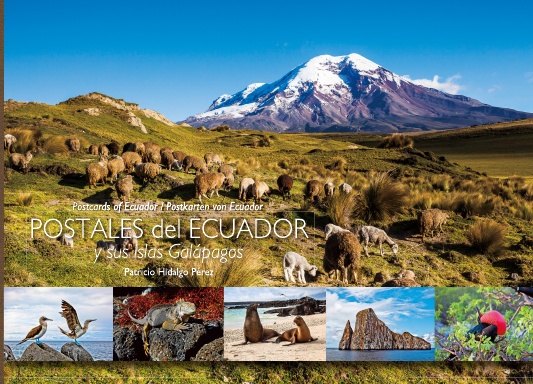 Postcards of Ecuador