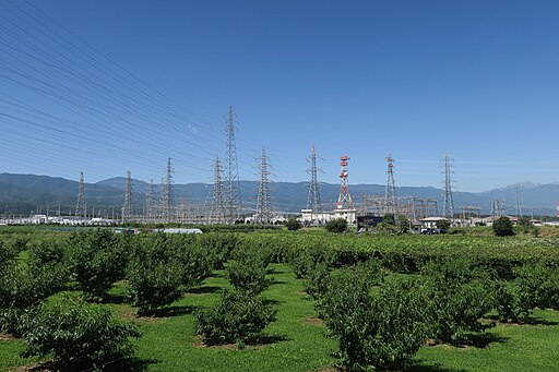 Exploring Substations and the Backbone of Electrical Infrastructure