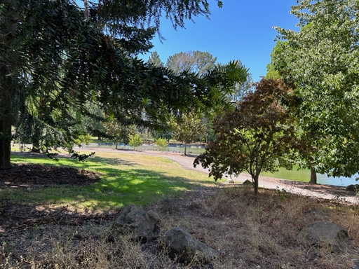 Words from HIM, for 07/28/23