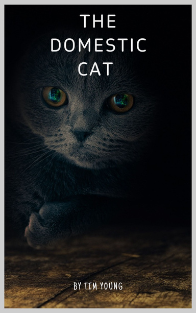 The Domestic Cat