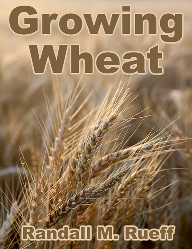 Growing Wheat