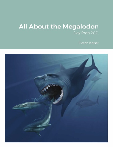 All About the Megalodon