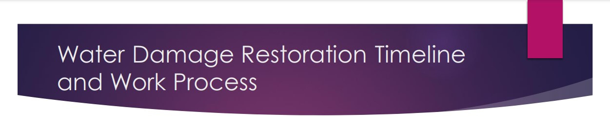 Water Damage Restoration Timeline and Work Process