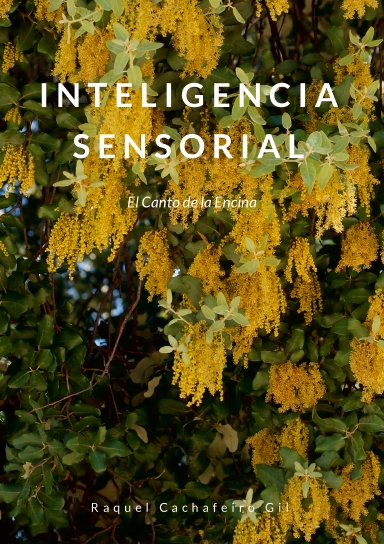 Inteligencia Sensorial