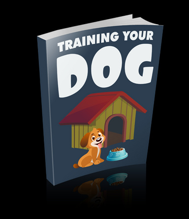 Training Your Dog