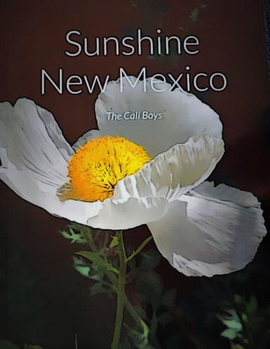 Sunshine New Mexico