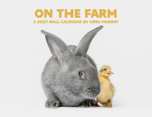 On the Farm