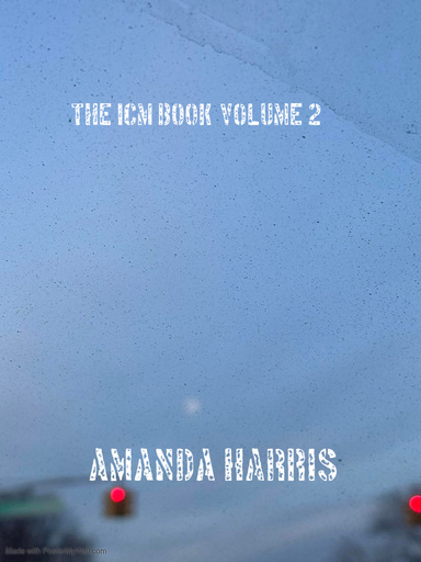 The ICM Book: Volume 2