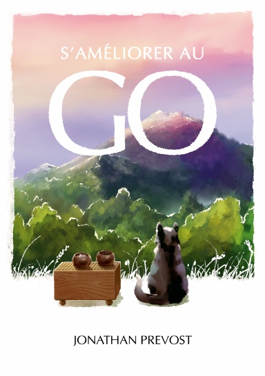 S'améliorer au Go