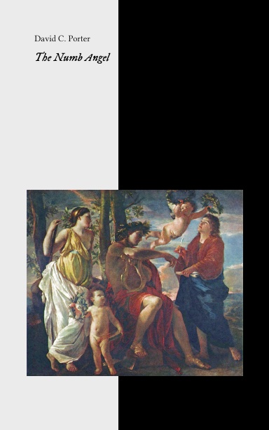 The Numb Angel