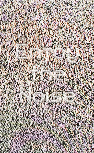 Enjoy The Noise